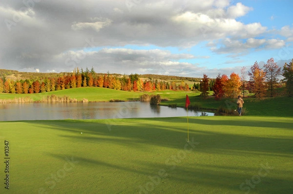 Fototapeta golf en automne