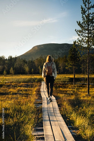 Fototapeta Rear view of a female hiker walking alone on a wooden path through Nordic nature, with the Nipfjället mountain backdrop in the natural light of the golden hour in the serene landscape