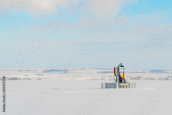 Obraz Lone Pumpjack in Snowy Field