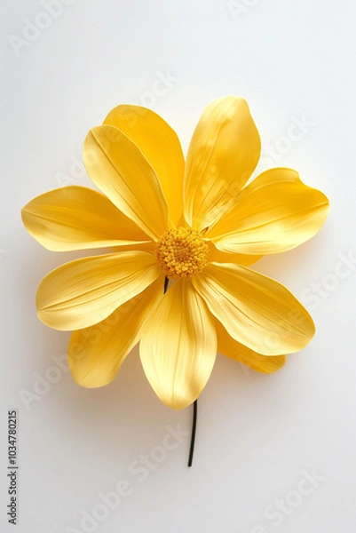 Fototapeta  Minimalist yellow flower with layered petals on white background for text overlay
