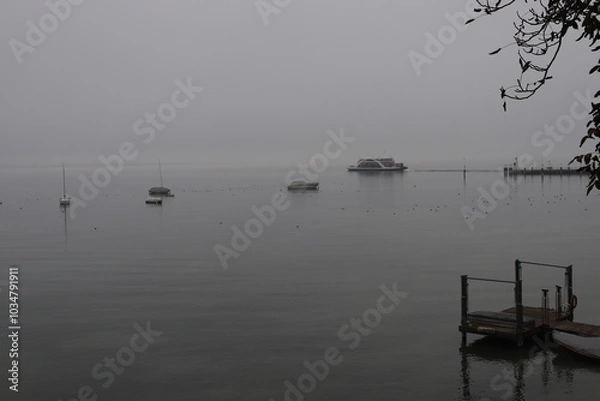 Obraz Morgenstimmung am Bodensee bei Konstanz im Nebel Morgennebel