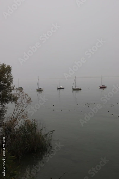 Obraz Morgenstimmung am Bodensee bei Konstanz im Nebel Morgennebel