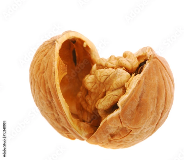 Obraz Walnut