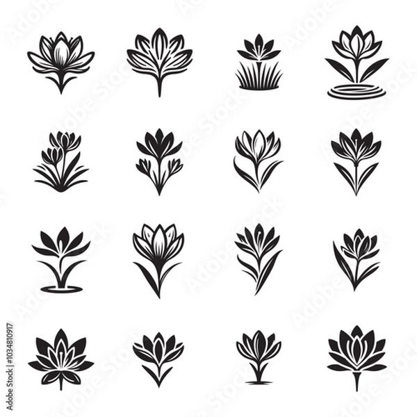 Fototapeta Vector Silhouette of Saffron Flower Icons - Logo Design Set for Branding

