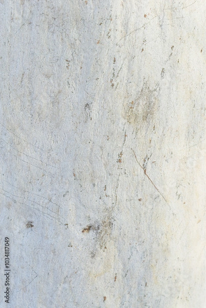 Obraz Eucalyptus tree bark texture, Bark of eucalyptus tree, seamless texture, a eucalyptus tree bark texture background image