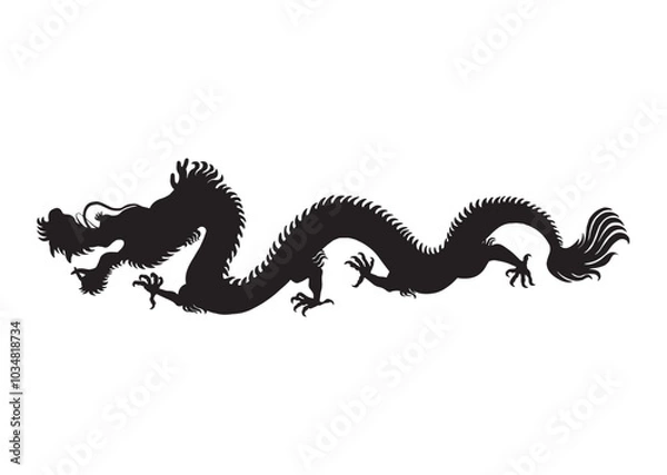 Fototapeta 龍のシルエット
