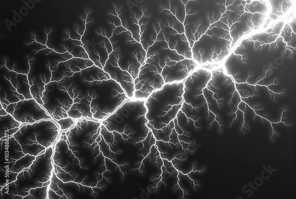 Fototapeta Lichtenberg Figure Branching fractal like patterns resembling el