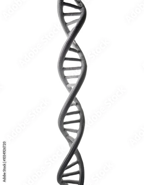 Fototapeta DNA double helix structure, isolated on white background.