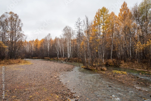 Obraz The Streams in the forest