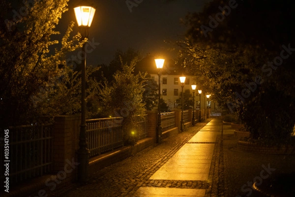 Fototapeta night cityscape after the rain, lanterns at night along the pedestrian path after the rain with the reflection of light on the path