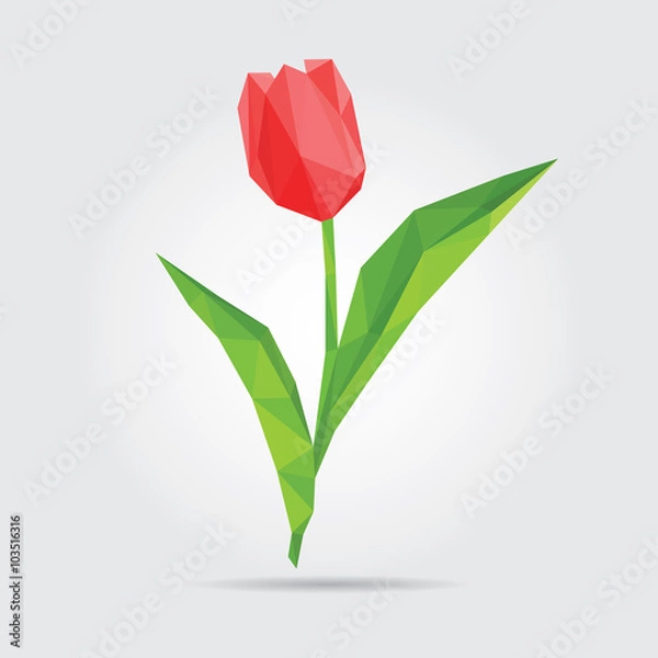 Fototapeta Tulipan wielokątny. Czerwony tulipan w wektorze