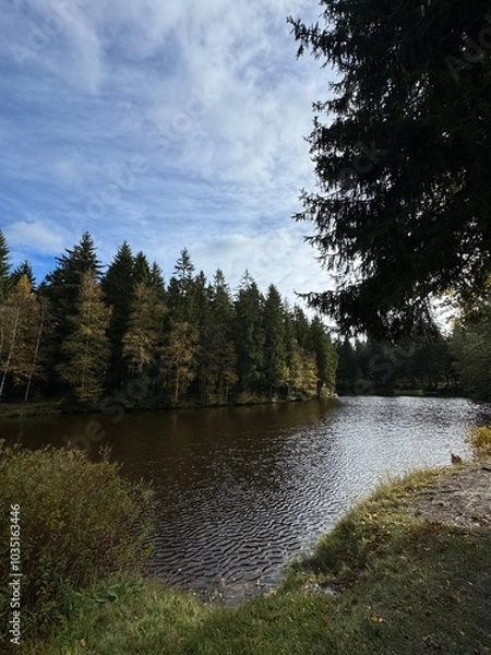 Obraz lake in the forest near by Schöneck, Vogtland, saxony