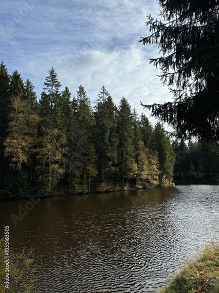 Obraz Lake in atumn Wood near by Schöneck, Vogtland, Saxony