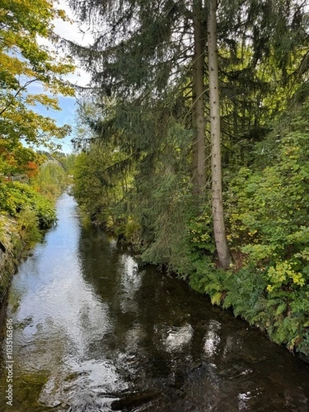 Obraz river Zwönitz in the forest at Einsiedel at near Chemnitz