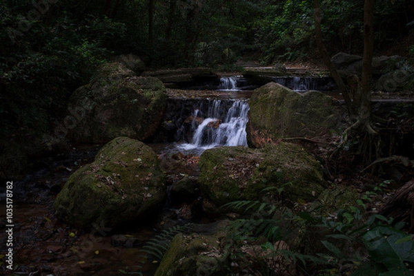 Fototapeta A small stream in the park