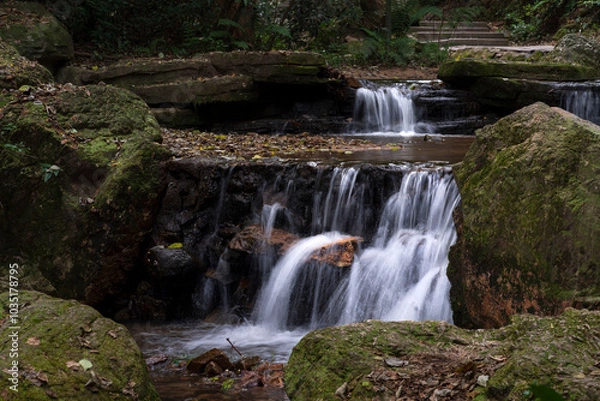 Fototapeta A small stream in the park