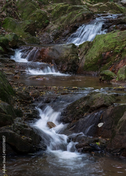 Fototapeta A small stream in the park