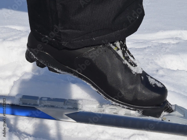 Obraz Беговые лыжи