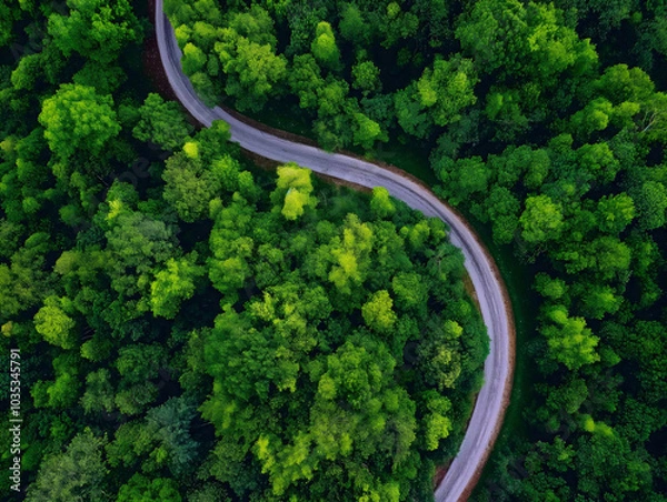 Fototapeta Aerial view of asphalt road through green forest with pine trees, top-down view. Forest Road view from above.