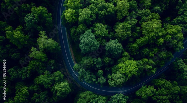 Obraz Aerial view of asphalt road through green forest with pine trees, top-down view. Forest Road view from above.