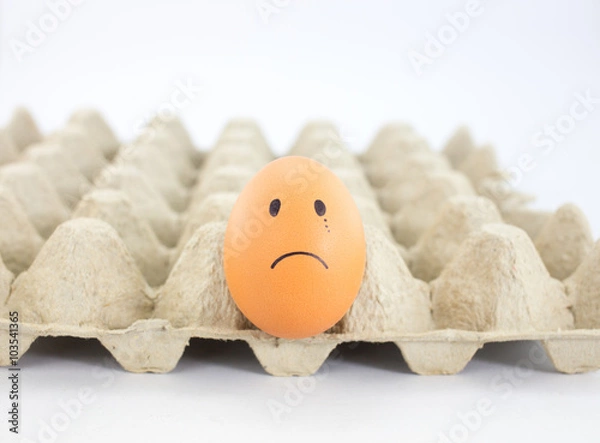 Obraz sad Egg in paper tray