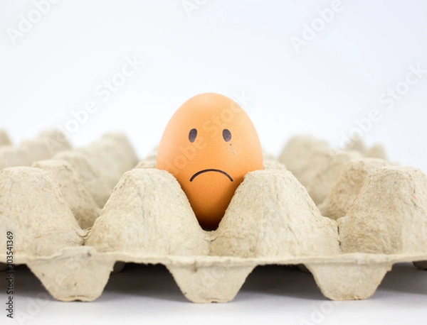 Obraz sad Egg in paper tray