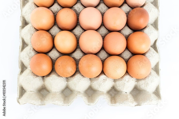 Obraz Eggs in  tray  on white background
