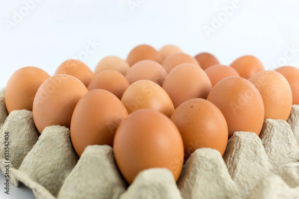Obraz Eggs in  tray  on white background