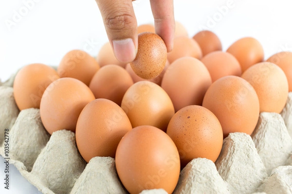 Obraz Eggs in  tray  on white background