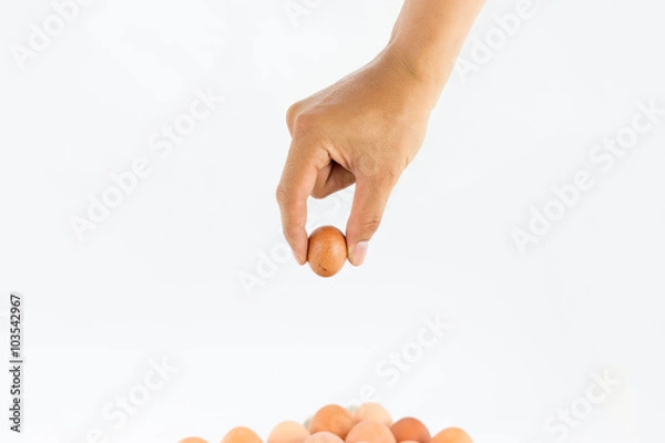 Obraz Eggs in  tray  on white background