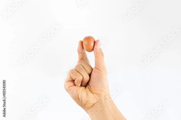 Obraz Eggs in  tray  on white background