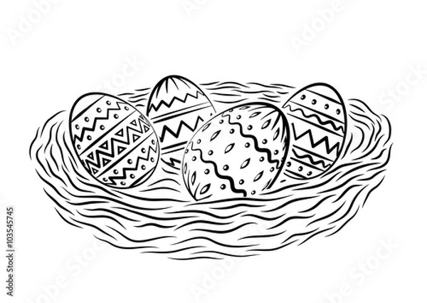 Fototapeta Eggs in nest