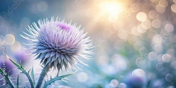 Fototapeta A delicate purple thistle blooms in a field of soft pastel hues, bathed in the golden glow of the afternoon sun.