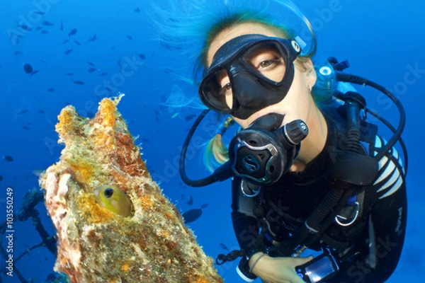 Fototapeta MY SMALL FRINED / Model observing a small blend hiding on a ship wreck.