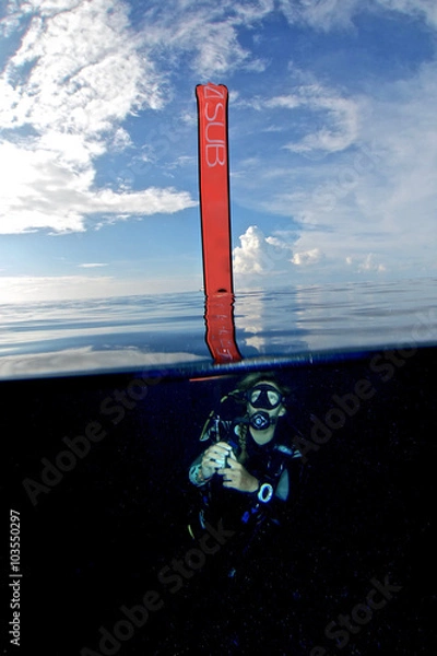 Fototapeta SAFETY STOP / After every dive i recommended to do a safety stop at 5m for 3 min. at this time I like to take photos!
