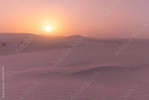 Obraz Desert sunset scene