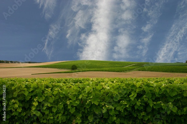 Obraz paysage charentais