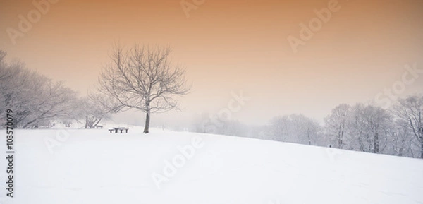 Fototapeta Nice winter scene