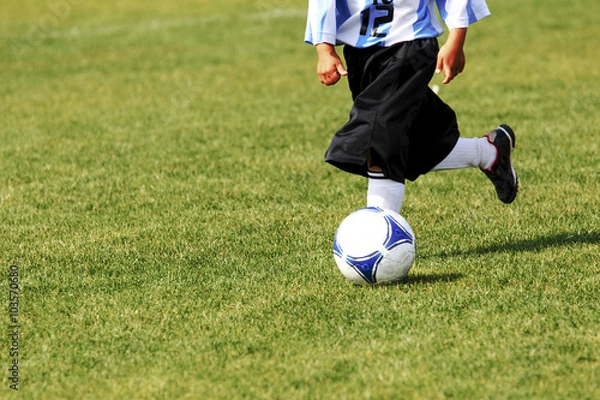 Fototapeta サッカー　フットボール