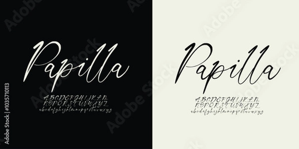 Fototapeta Vector elegant alphabet letters font classic modern serif lettering minimal fashion