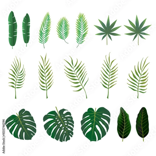 Fototapeta Green palm leaves on a white background. Vector set of curved branches. Leaves of various tropical trees, bending twigs. Vector illustration.