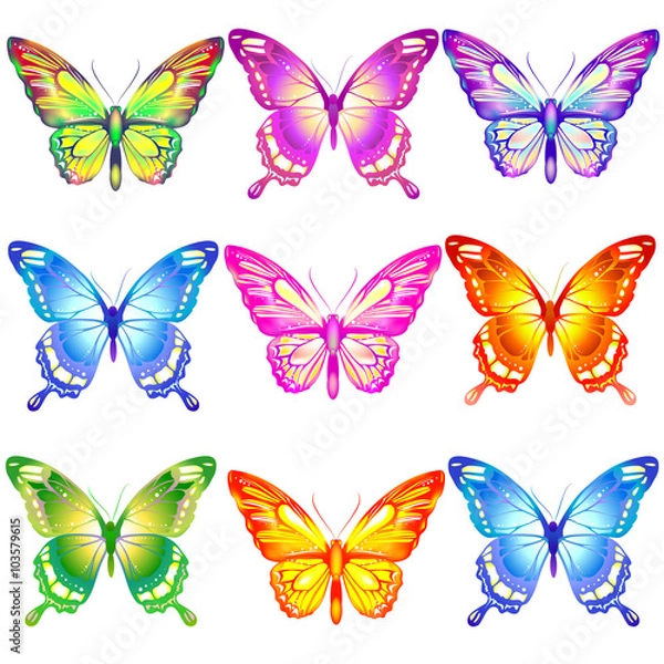 Obraz butterflies design