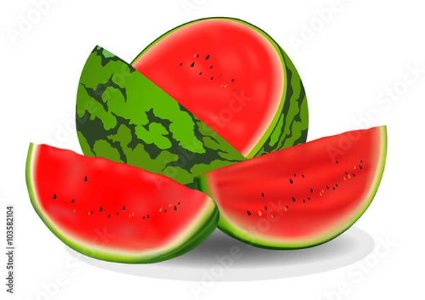 Fototapeta Vector watermelon ;Vector illustration