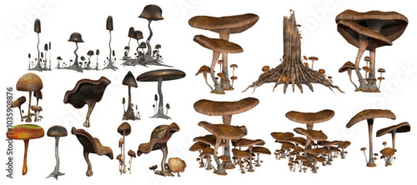 Fototapeta 3D render of different kind and shape mushrooms isolated illustration