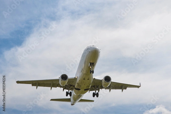 Fototapeta 飛翔する旅客機