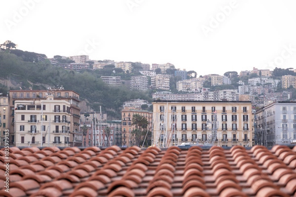 Obraz view country Naples