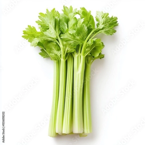 Fototapeta Celery on a white background