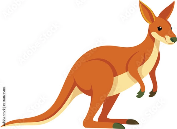 Fototapeta kangaroo illustration vector 