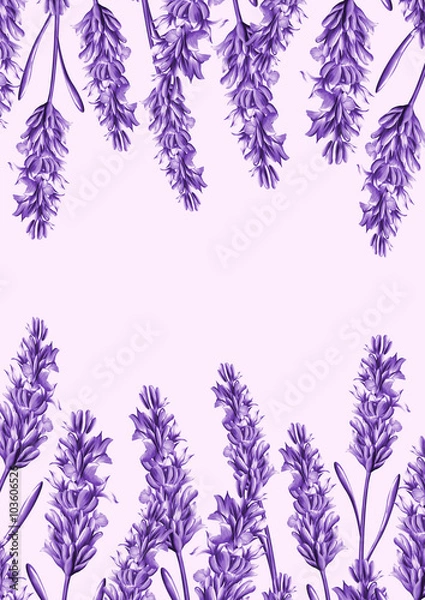 Obraz lavender flower background