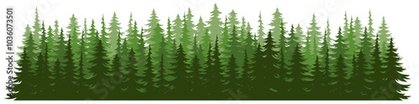 Fototapeta Forest fir trees silhouette. Coniferous spruce horizontal background. 